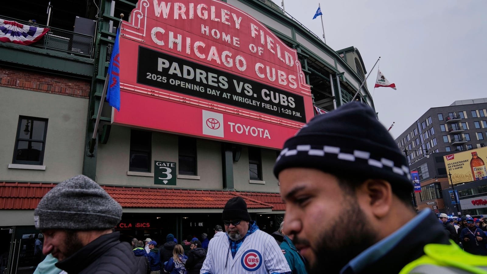 शिकागो शावक खेलों के दौरान प्रतिष्ठित Wrigley फील्ड ब्लीचर्स के बगल में गीज़ नेस्ट बनाते हैं