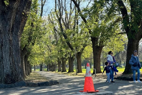 ऑस्ट्रेलियाई सरकार प्रसिद्ध ब्रिटिश एक्सप्लोरर के लिए अक्सर-छीली स्मारक को हटा देती है