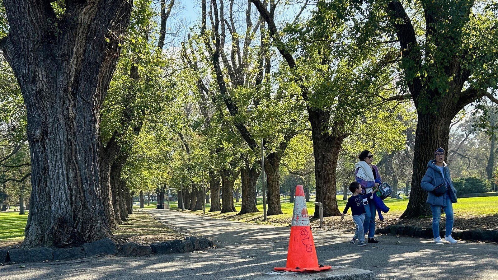 ऑस्ट्रेलियाई सरकार प्रसिद्ध ब्रिटिश एक्सप्लोरर के लिए अक्सर-छीली स्मारक को हटा देती है