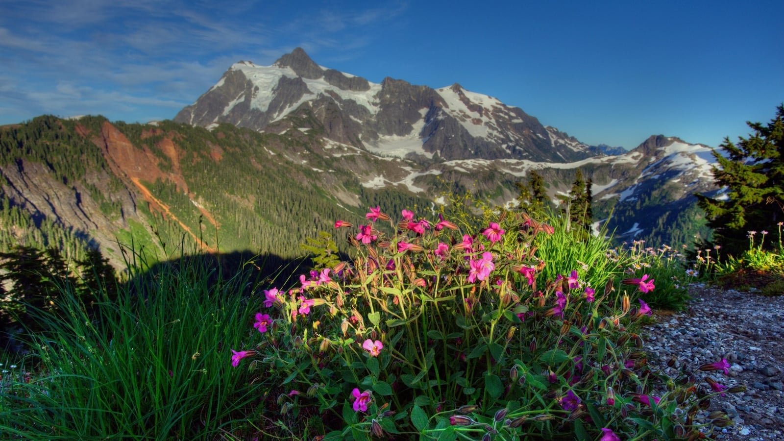 तीन पर्वतारोही उनकी मौत के लिए 400 फीट गिर गए। एक पर्वतारोही बच गया और मदद के लिए चला गया